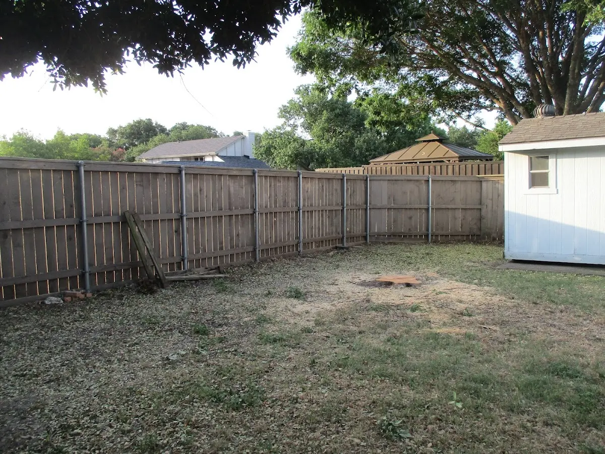 Cleared yard after professional tree removal in Santa Fe